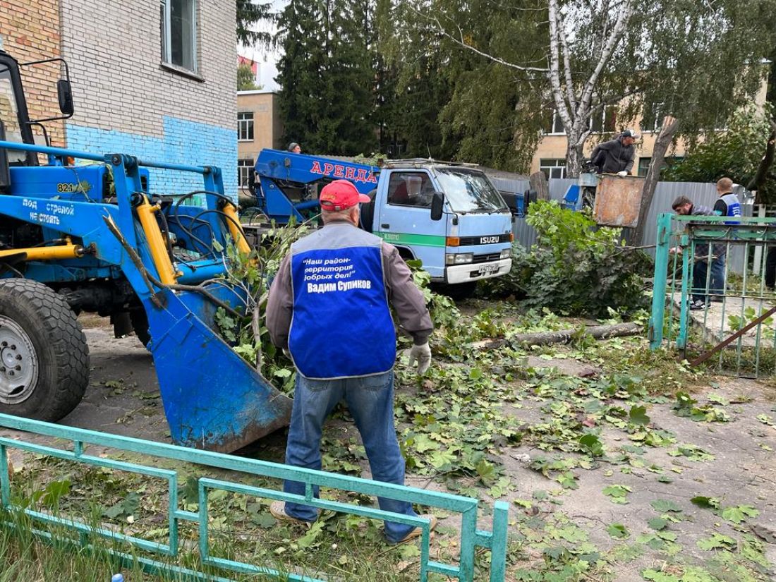 На территории детского сада в Пензе спилили аварийные деревья — Общество —  Пенза СМИ