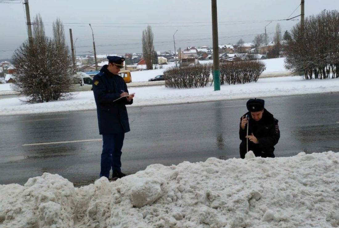 Снежная пенза