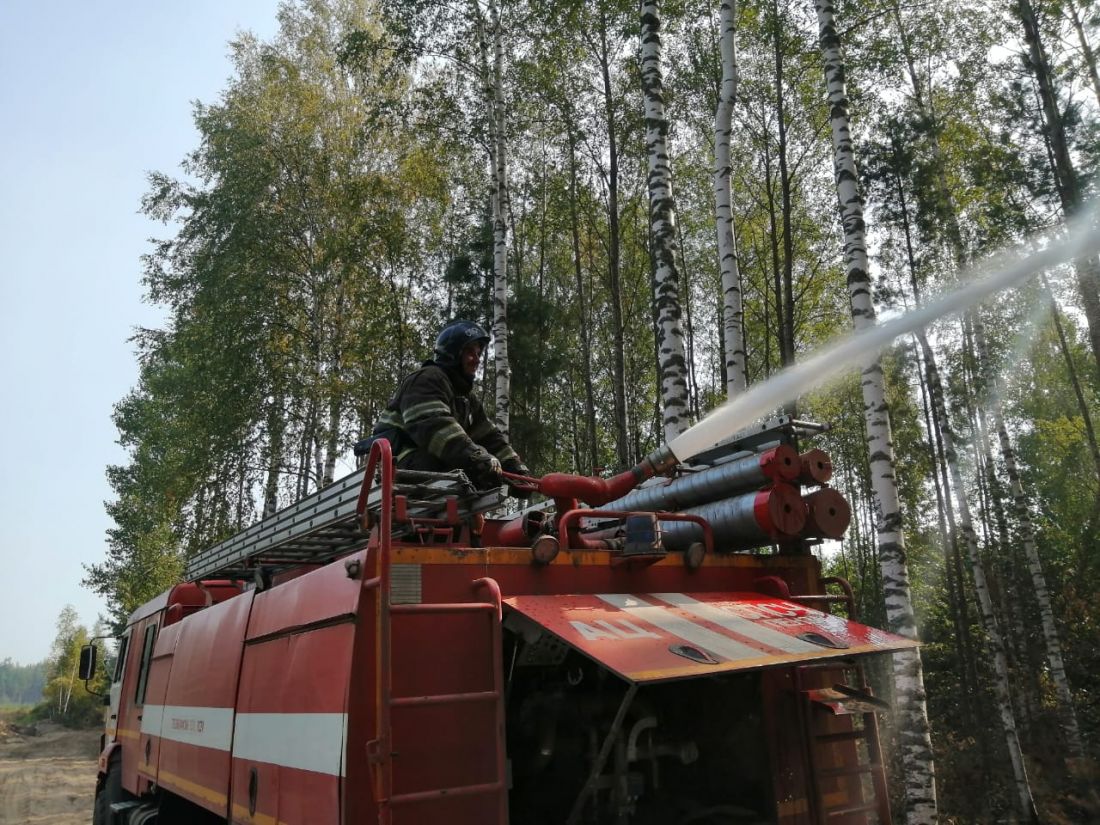 Пензенские спасатели ликвидируют крупный лесной пожар в Воротынском районе  — Происшествия — Пенза СМИ