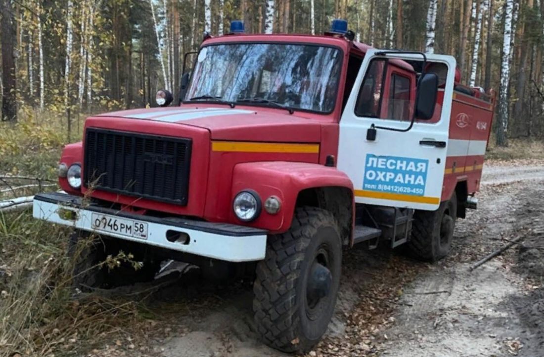 В Пензенской области из-за высокой пожароопасности усилят охрану лесов |  15.08.2023 | Пенза - БезФормата