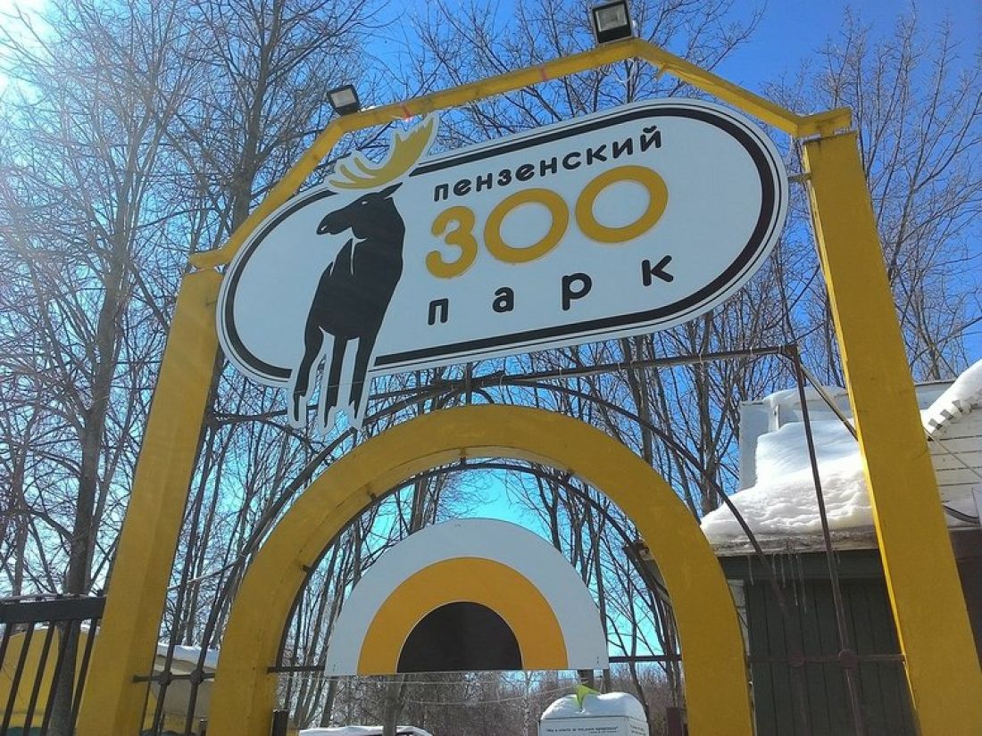 Пензенский зоопарк