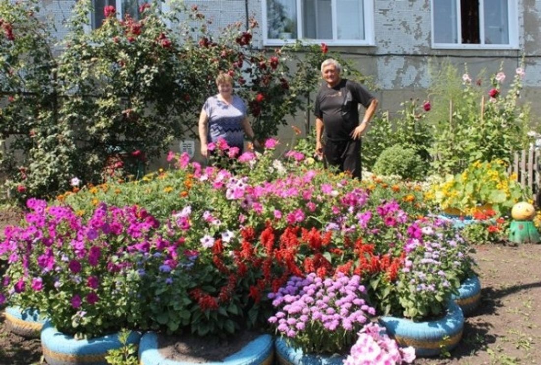 В Пензе продолжается прием заявок на конкурс «Лучший дом. Лучший двор» —  Общество — Пенза СМИ