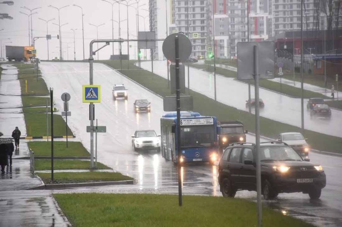 На улице Ладожской в Пензе организовали дополнительный пешеходный переход —  Общество — Пенза СМИ