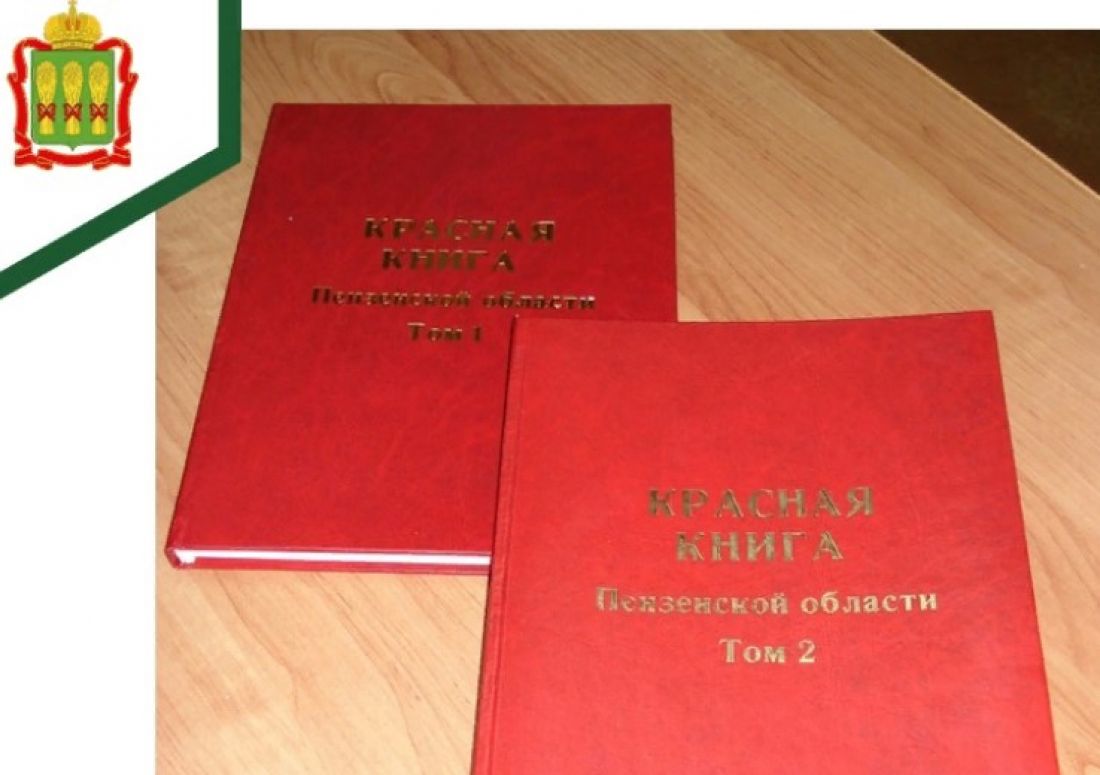 В Пензенской области переиздадут Красную книгу региона — Общество — Пенза  СМИ