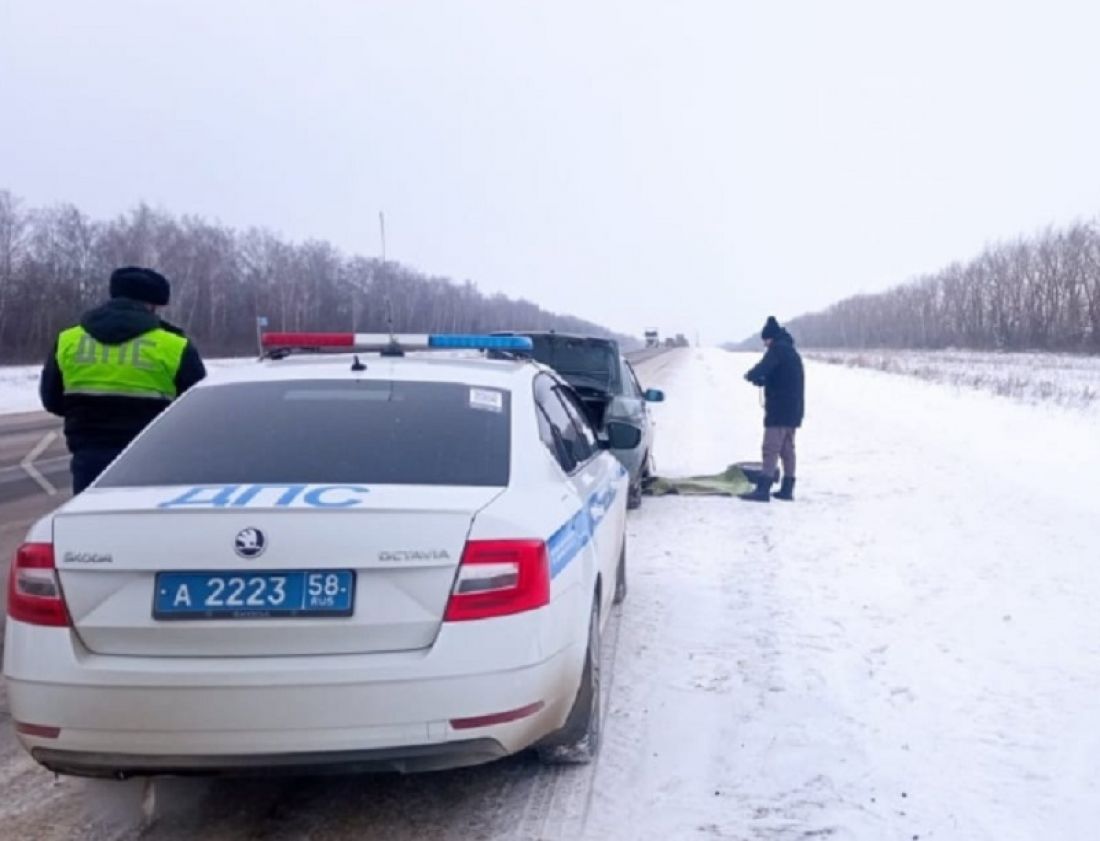 В Пензенской области автоинспекторы помогли водителю, попавшему в сложную  ситуацию — Происшествия — Пенза СМИ