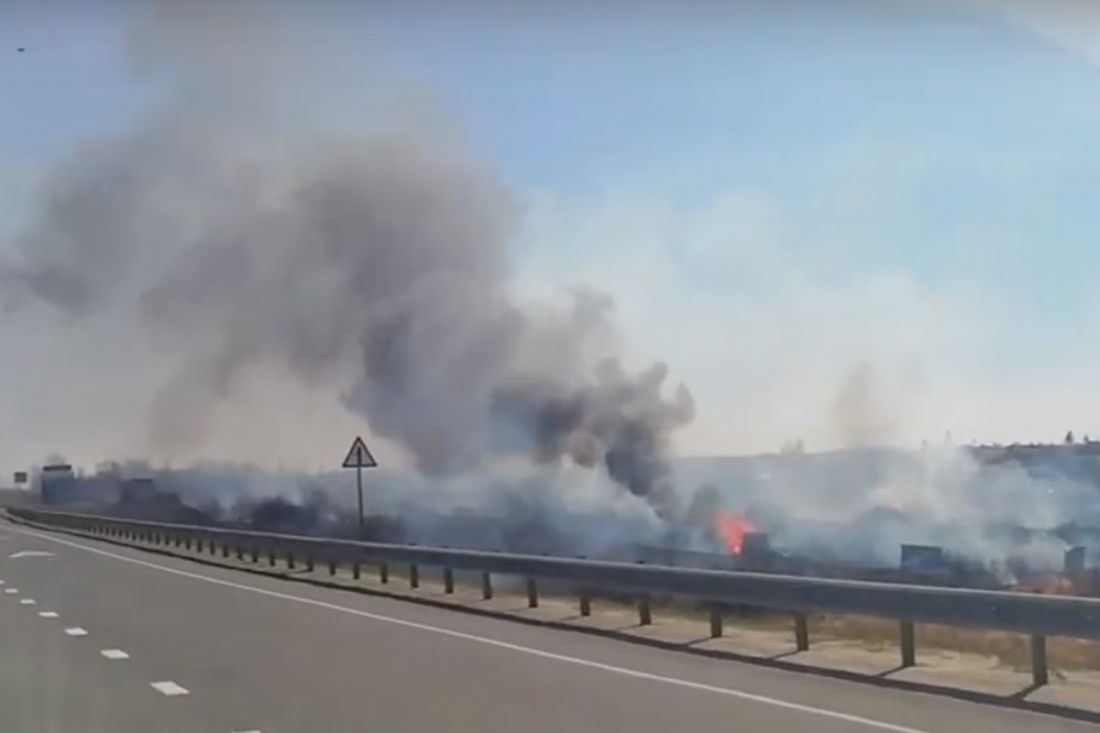 Очевидец снял на видео горящие под Пензой дачи — В сети — Пенза СМИ