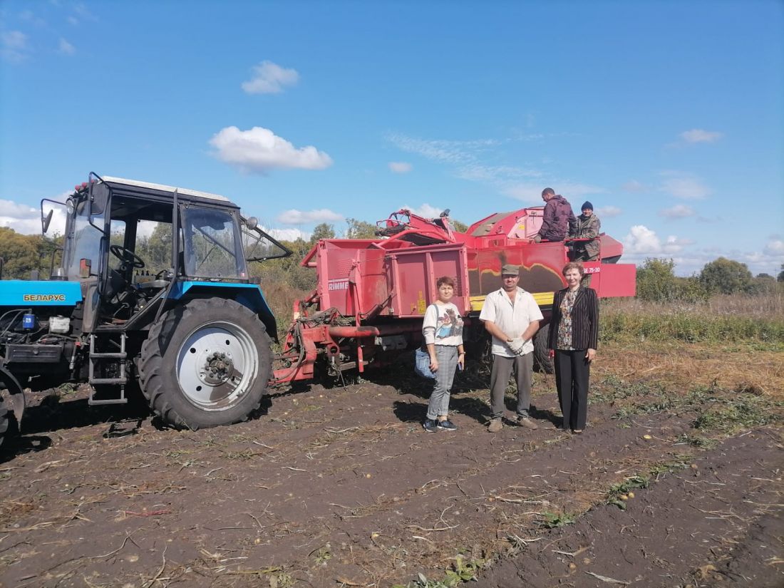 В Земетчинском районе завершилась основная уборка зерновых и зернобобовых  культур — Общество — Пенза СМИ