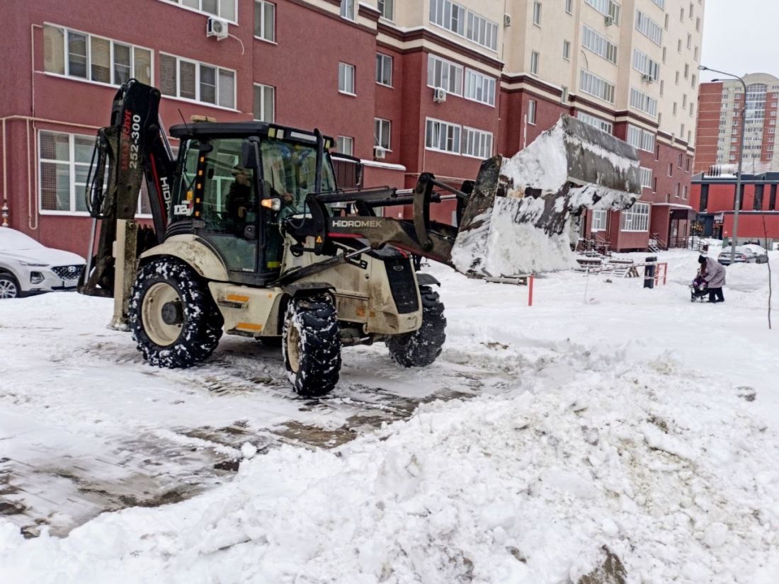 В Пензе проверили содержание дворов в микрорайоне Стрела — Общество — Пенза  СМИ