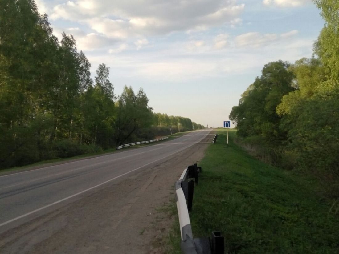 В Пензенской области две машины улетели в кювет и врезались в дерево —  Происшествия — Пенза СМИ