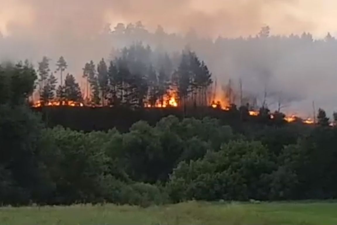 Полыхающий в Кузнецке Пензенской области лес сняли на видео — В сети —  Пенза СМИ